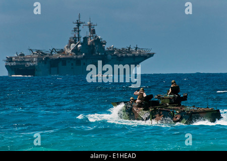 Les Marines américains à l'assaut du véhicule amphibie (AAV) peloton, Combat Assault Company, 3e Régiment de Marines font leur chemin à un Banque D'Images