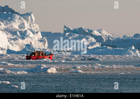 Voile entre les icebergs, Ilulissat, Site du patrimoine mondial de l'UNESCO, la baie de Disko, à l'ouest du Groenland, Greenland Banque D'Images