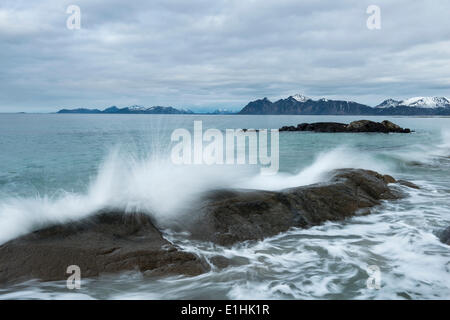 Vagues se brisant sur les rochers, Vågan, Lofoten, Norvège Banque D'Images