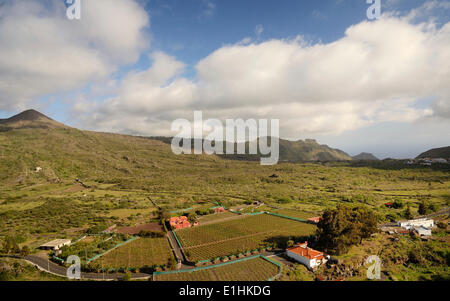 Plateau fertile, les vignobles, les cônes volcaniques éteints, près de Santiago del Teide, Tenerife, Canaries, Espagne Banque D'Images