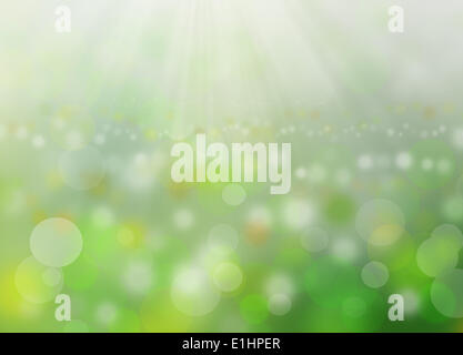 Arrière-plan flou vert et la lumière du soleil du matin comme desktop Banque D'Images