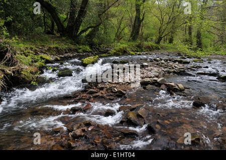 Horner l'eau dans le bois, Horner, Exmoor Somerset Banque D'Images