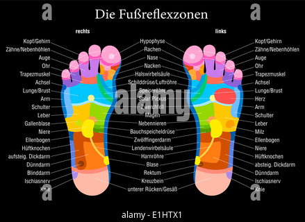 Réflexologie des pieds graphique avec description exacte (marquage en allemand !) des organes internes et les parties du corps. Banque D'Images