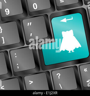 Chouette blanche silhouette sur clavier PC ordinateur Banque D'Images