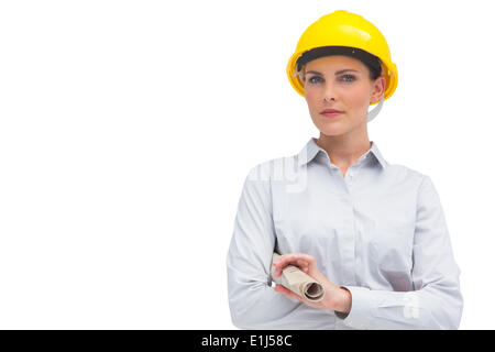 Architect holding plan enroulé Banque D'Images