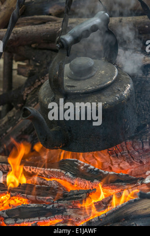 bouilloire vapeur sur feu de camp de bois brûlé. Concept bushcraft, les compétences de survie, cuppa de Nice, les trucs de camping. Banque D'Images