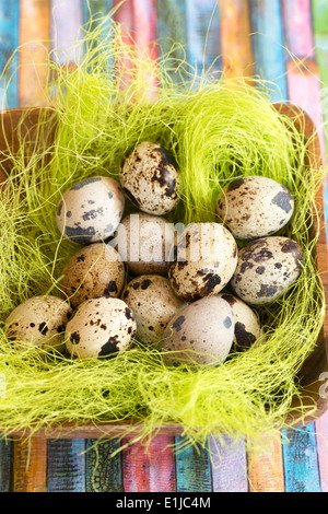 Bol en bois avec de l'herbe de Pâques et des oeufs de cailles sur bandes colorées Banque D'Images