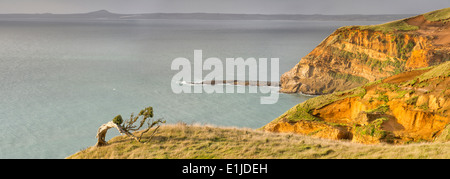 La Nouvelle-Zélande, l'Île Chatham, falaises rouges au point le désherbage Banque D'Images