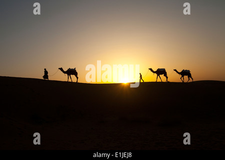 Quelques hommes avec des chameaux au coucher du soleil dans le désert de Thar, Jaiselmer, Inde Banque D'Images