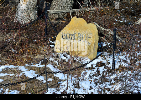 Une pierre tombale en pierre dans un cimetière pour animaux domestiques rurales dans l'ouest de l'Alberta Canada Banque D'Images