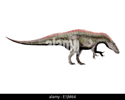 Acrocanthosaurus, un théropode du début du Crétacé. Banque D'Images