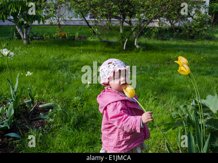 Fille aux vêtements de l'odeur de rose grande tulipe jaune sur jardin Banque D'Images