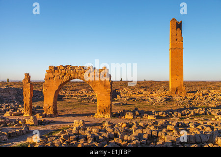 Harran ruines de l'université Banque D'Images