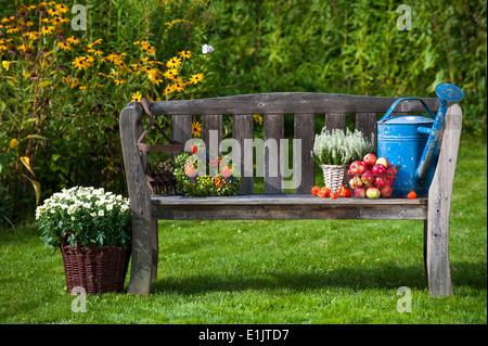 Banc de jardin avec automne décoration Banque D'Images