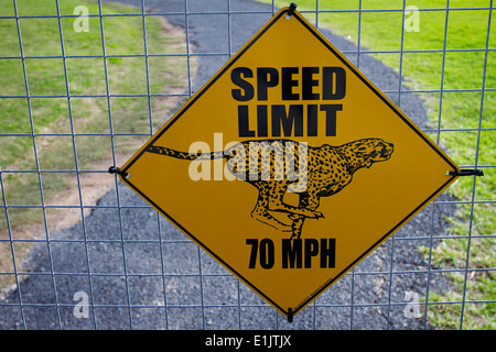 Une limite de vitesse de 70mph signe sur une clôture à l'enceinte Cheetah Cheetah Outreach. Banque D'Images
