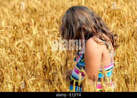 Kid in wheat field Banque D'Images