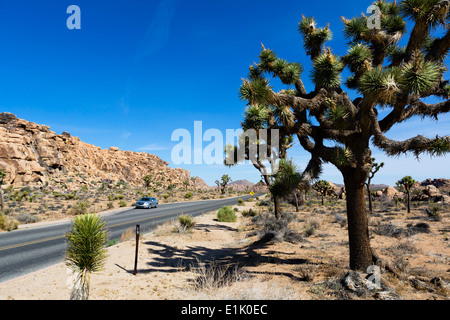 Park Avenue dans Joshua Tree National Park, San Bernadino County, Californie, USA Banque D'Images