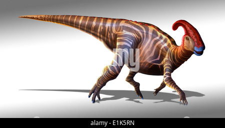 Parasaurolophus ('près de lézard à crête") décrit pour la première fois en 1922 était un dinosaure qui vivait à la fin de la période crétacée Banque D'Images
