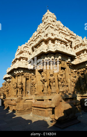L'Inde, le Tamil Nadu, Kanchipuram, Kailasanatha temple du 8e siècle Banque D'Images