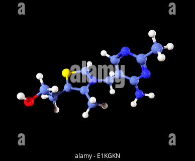 Molécule de la vitamine B1 Modèle d'ordinateur montrant la structure d'une molécule de vitamine B1 (thiamine) Vitamine B1 est un élément essentiel Banque D'Images