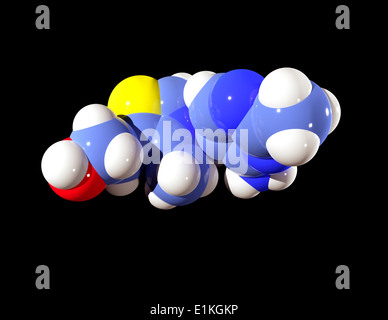 Molécule de la vitamine B1 Modèle d'ordinateur montrant la structure d'une molécule de vitamine B1 (thiamine) Vitamine B1 est un élément essentiel Banque D'Images