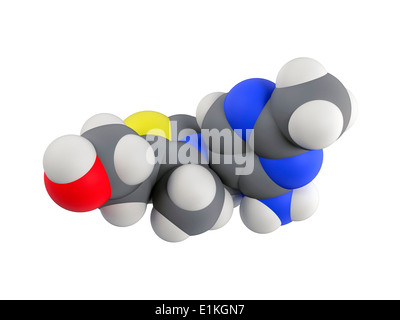 Molécule de la vitamine B1 Modèle d'ordinateur montrant la structure d'une molécule de vitamine B1 (thiamine) Vitamine B1 est un élément essentiel Banque D'Images