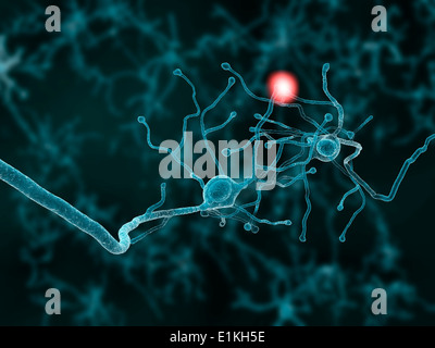 Artwork de deux cellules nerveuses transmettant un signal. Banque D'Images