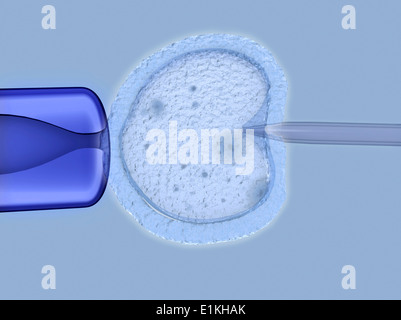 Artwork de la fertilisation in vitro. Banque D'Images