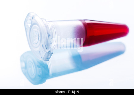 Microtube contenant de l'échantillon de sang. Banque D'Images