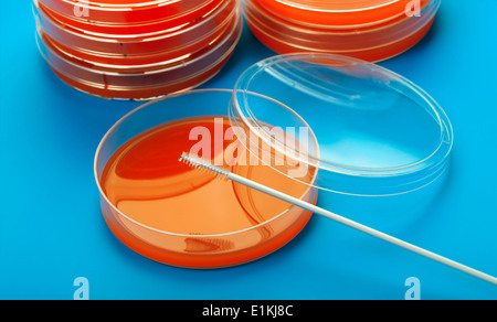 Pétri et un collecteur de cellules sur un fond bleu. Banque D'Images