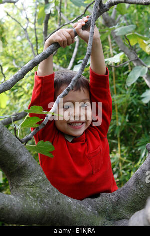 Garçon dans l’arbre Banque D'Images