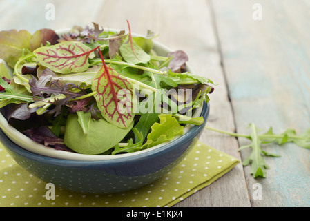 Mélange de salade de roquette, radicchio et la mâche dans bol blanc sur fond de bois Banque D'Images