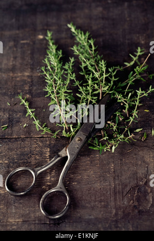 Thym Frais et ciseaux sur la vieille table de cuisine Banque D'Images