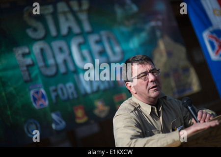 Le Secrétaire adjoint à la défense Ash Carter parle avec des soldats américains à l'équipe de combat de la 4e Brigade, 10e division de montagne à Fo Banque D'Images