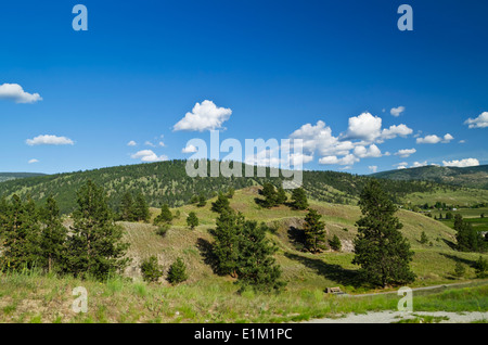 Le vert des montagnes, arbres et ciel bleu, dans l'Okanagan, en Colombie-Britannique, Canada. Près de Penticton, en Colombie-Britannique. Vallée de l'Okanagan. Rolling green hills. Banque D'Images