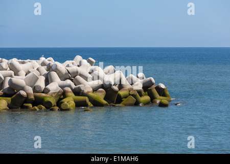 Des tétrapodes brise-lames à la côte atlantique de Madère, Portugal Banque D'Images