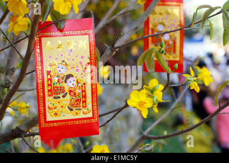 Le nouvel an chinois. Décorations accrochées sur un arbre jaune pour la bonne chance et de la fortune. Banque D'Images