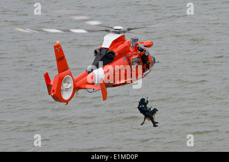 Une Garde côtière K-9 avec le gestionnaire d'équipe de sécurité et la sécurité maritime dans la région de Galveston, Texas et son chien sont abaissés jusqu'à voile d'un C Banque D'Images