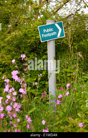 Sentier Public signe et fleurs sauvages en haie près de St Saint Teath Cornwall England UK Banque D'Images