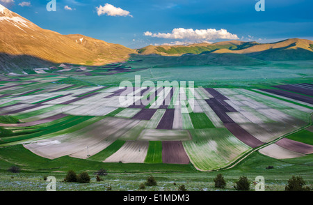 Piano Grande Scenic champs et montagnes de Sibillini en Ombrie, Italie Banque D'Images