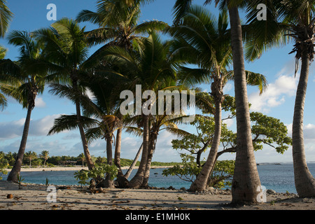 Aitutaki. L'île de Cook. Polynésie française. Océan Pacifique Sud. Plage à Aitutaki Lagoon Resort & Spa Hotel. Le paradis est une bien galvaudés Banque D'Images