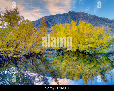 Étang de castors et la couleur de l'automne sur McGee Creek. L'Est de la Sierra Nevada. Californie Banque D'Images