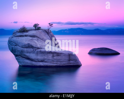 Bonsai Rock au lever du soleil. Lake Tahoe, Nevada Banque D'Images