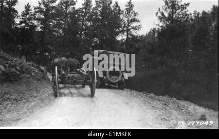 Photo en noir et blanc représentant des arbres le long de Carson Forest Road, avec des chariots et des chevaux, probablement dans un contexte historique. Banque D'Images