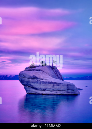 Bonsai arbre sur un rocher avec le lever du soleil. Lake Tahoe, Nevada Banque D'Images