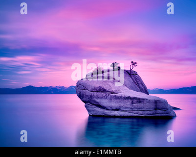 Bonsai arbre sur un rocher avec le lever du soleil. Lake Tahoe, Nevada Banque D'Images