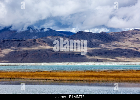 Tso Kar - fluctuation du salt lake en Himalaya. Rapshu, Ladakh, le Jammu-et-Cachemire, l'Inde Banque D'Images
