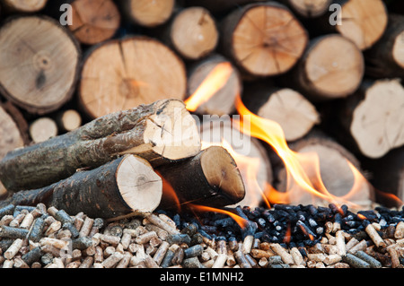 Différents types de granulés de bois et bois de feu en flammes Banque D'Images