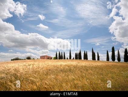 Ferme près de San Quirico d'Orcia. D'Orcia, région du Chianti, Toscane, Italie dédié à Vincent Van Gogh Banque D'Images