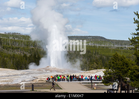 Foule se rassembler devant le Old Faithful Geyser pendant une éruption. Le Parc National de Yellowstone, Wyoming, USA. Banque D'Images